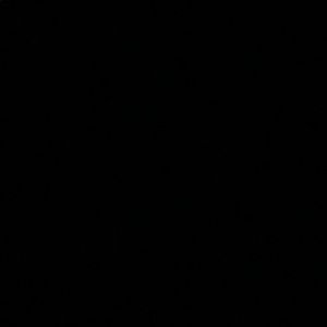 Meet your Posher, Cece